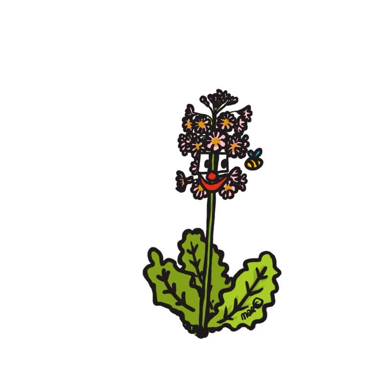 Handgetekende bloemenillustratie door Marretjes