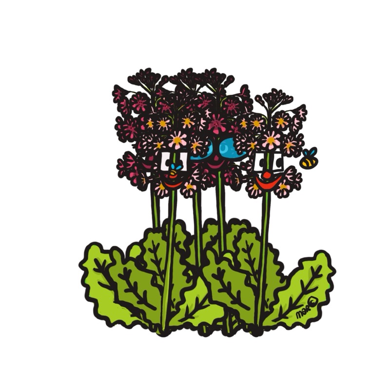 Handgetekende bloemenillustratie door Marretjes