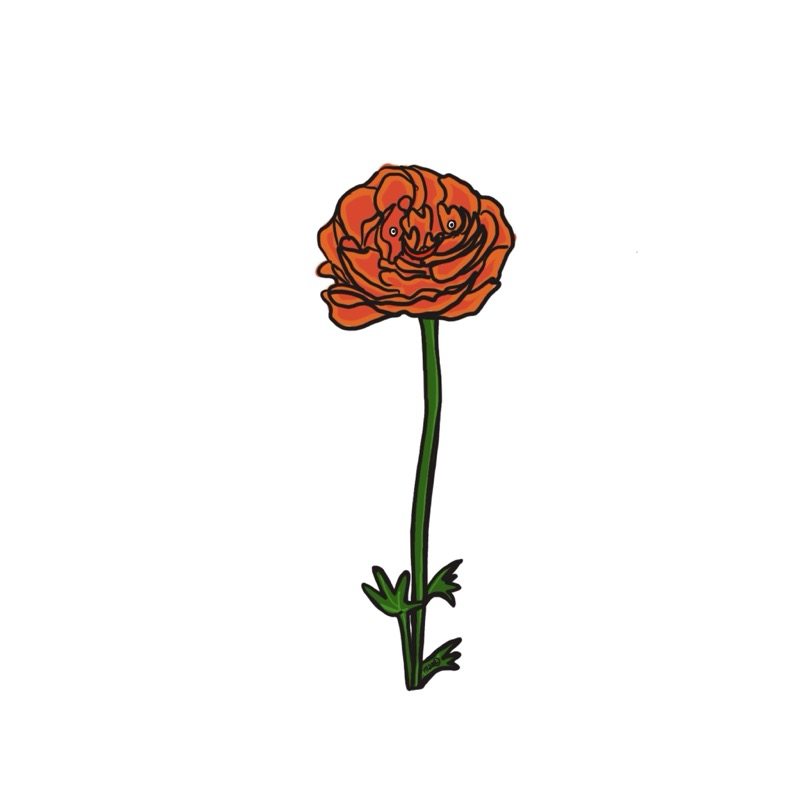Handgetekende bloemenillustratie door Marretjes